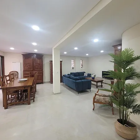 Centro 117 M2 Proximo Aveiro
